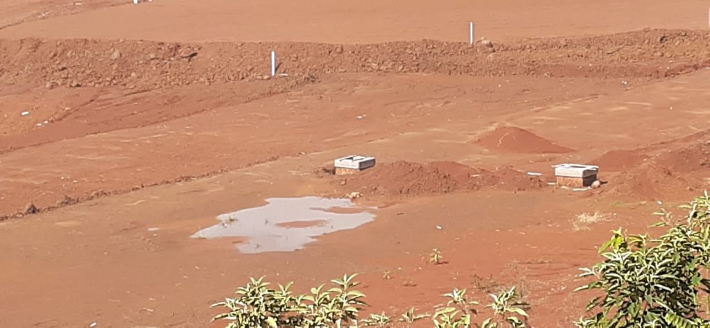 3° Batalhão Ambiental monitora onça-parda que foi filmada por moradores de Erechim