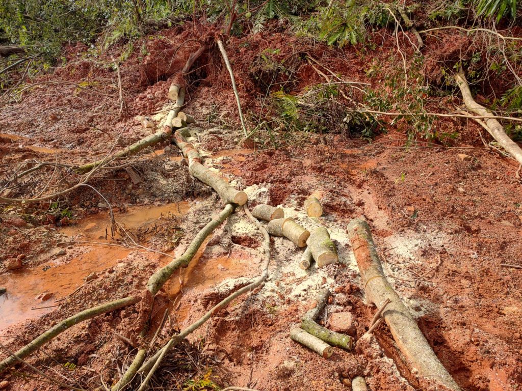 Batalhão Ambiental