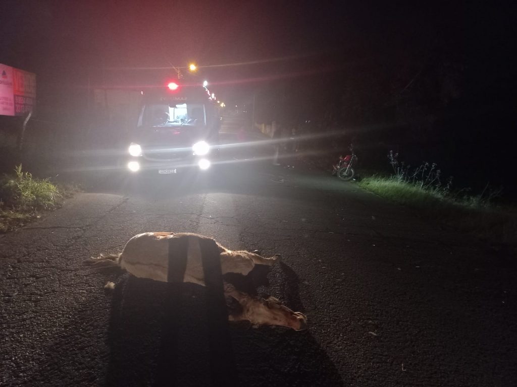 Motoboy sofre acidente após colidir em cavalo no meio da rua no bairro Integração