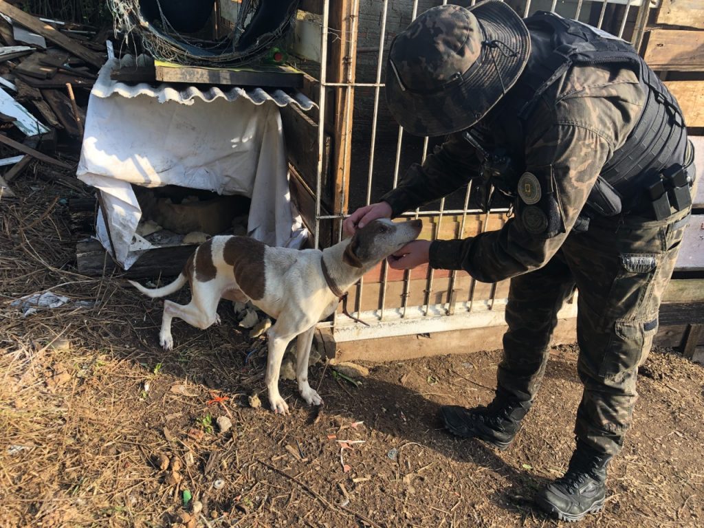 3°Batalhão Ambiental prende mulher por maus tratos em Canela