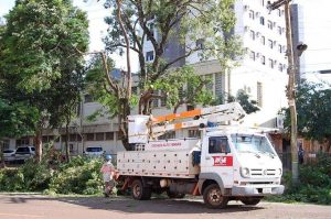 RGE esclarece como funcionam podas e retiradas de árvores que afetam a rede elétrica