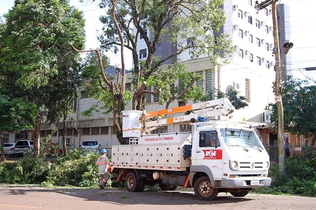 RGE esclarece como funcionam podas e retiradas de árvores que afetam a rede elétrica