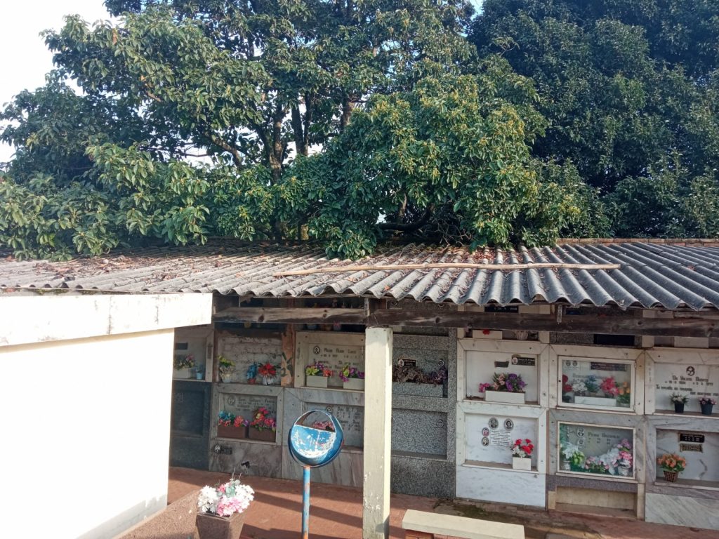 Prefeitura garante que a manutenção dos cemitérios é realizada periodicamente
