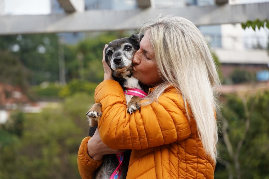 Programa Acolhe Pet desperta atenção de outras cidades do Brasil