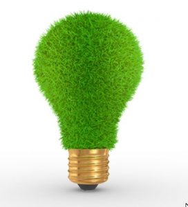 Dia da Natureza: economia e meio ambiente precisam andar lado a lado, defende ecologista