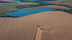 Dia do Trigo: cultura ganha protagonismo no agronegócio brasileiro