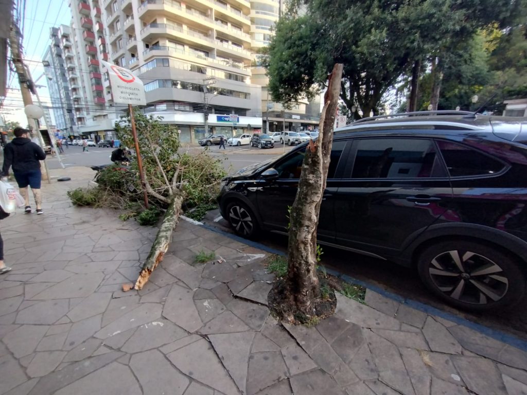 Arvore quebra e cai sobre veículos no Centro de Passo Fundo