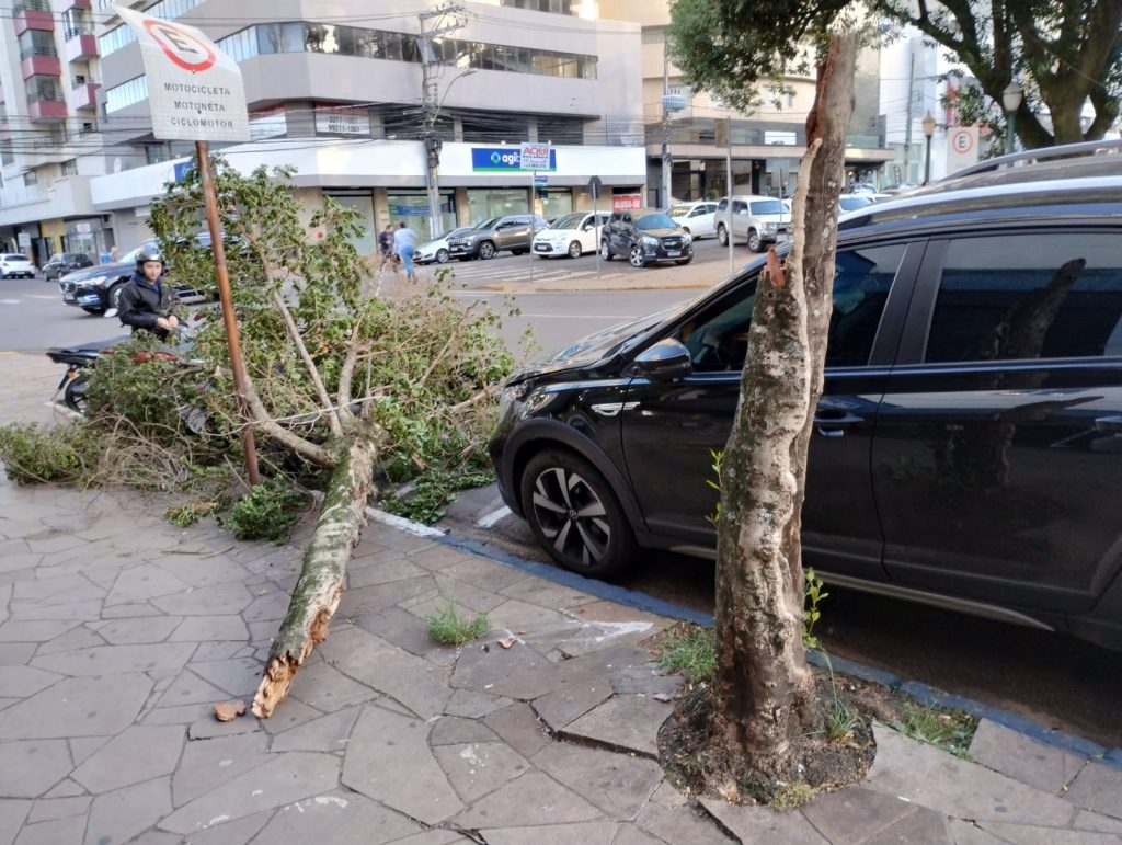 Arvore quebra e cai sobre veículos no Centro de Passo Fundo